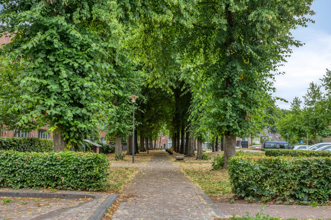 Foto 37 van Wilgenstraat 6