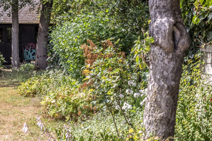 Foto 16 van Hoflaan 33