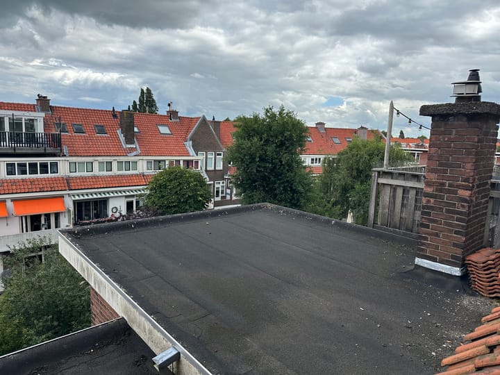 Photo 24 of Koningin Wilhelminalaan 213