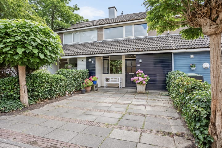 Photo 2 of Argusvlinder 10