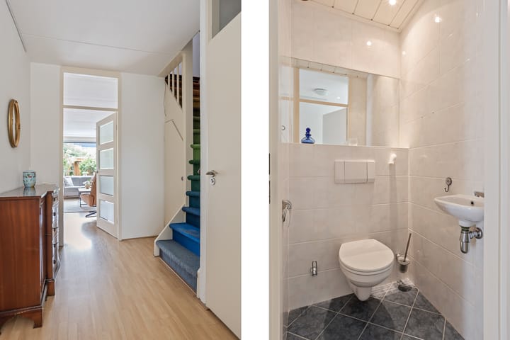 Photo 3 of Argusvlinder 10