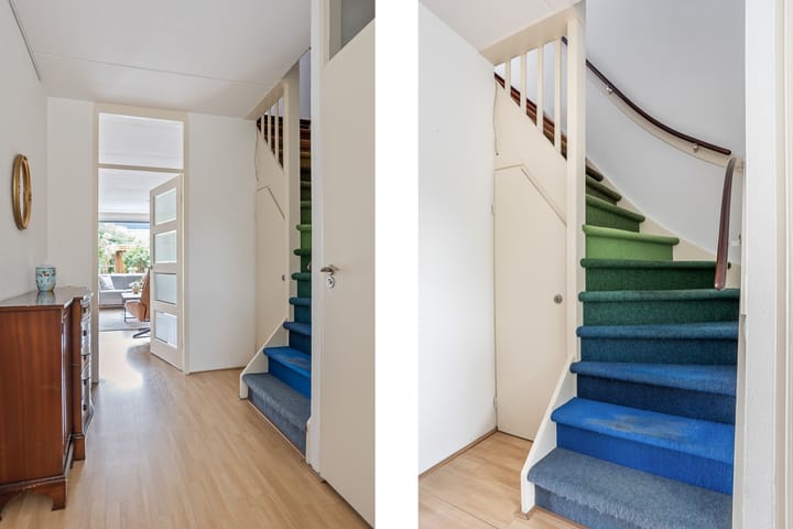 Photo 12 of Argusvlinder 10