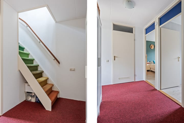 Photo 19 of Argusvlinder 10