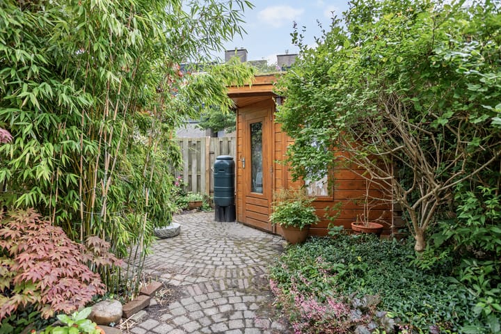 Photo 26 of Argusvlinder 10