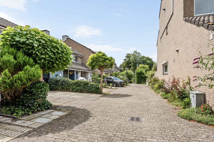 Photo 28 of Argusvlinder 10