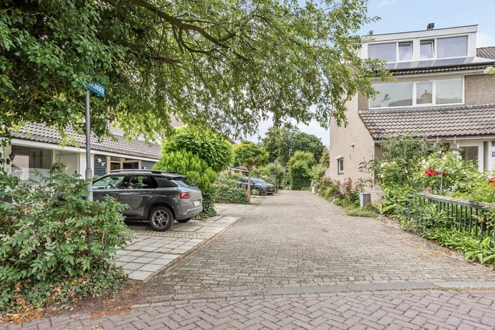 Photo 29 of Argusvlinder 10