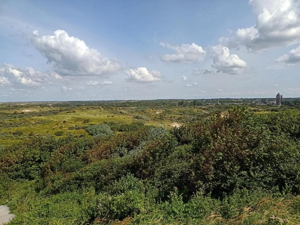 Foto 33 van Zeekant 46-B