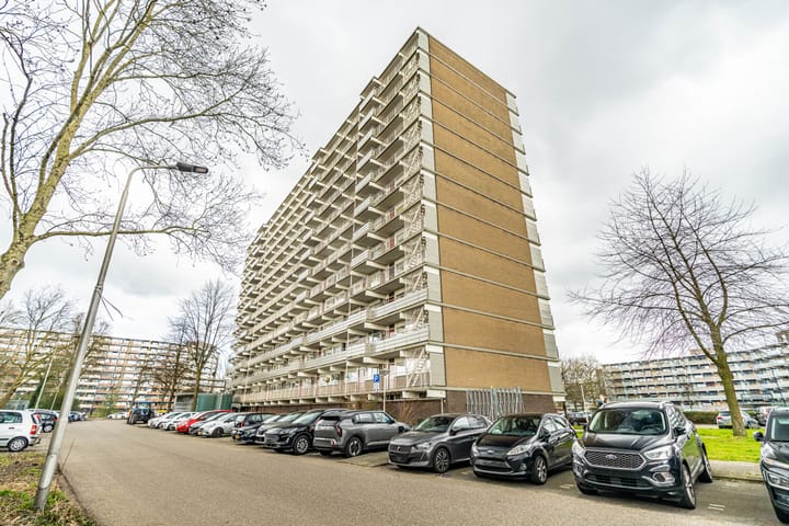 Photo 35 of Jonkerbos 193