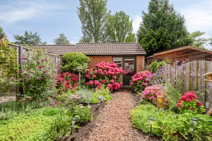 Foto 35 van Gouwe 24