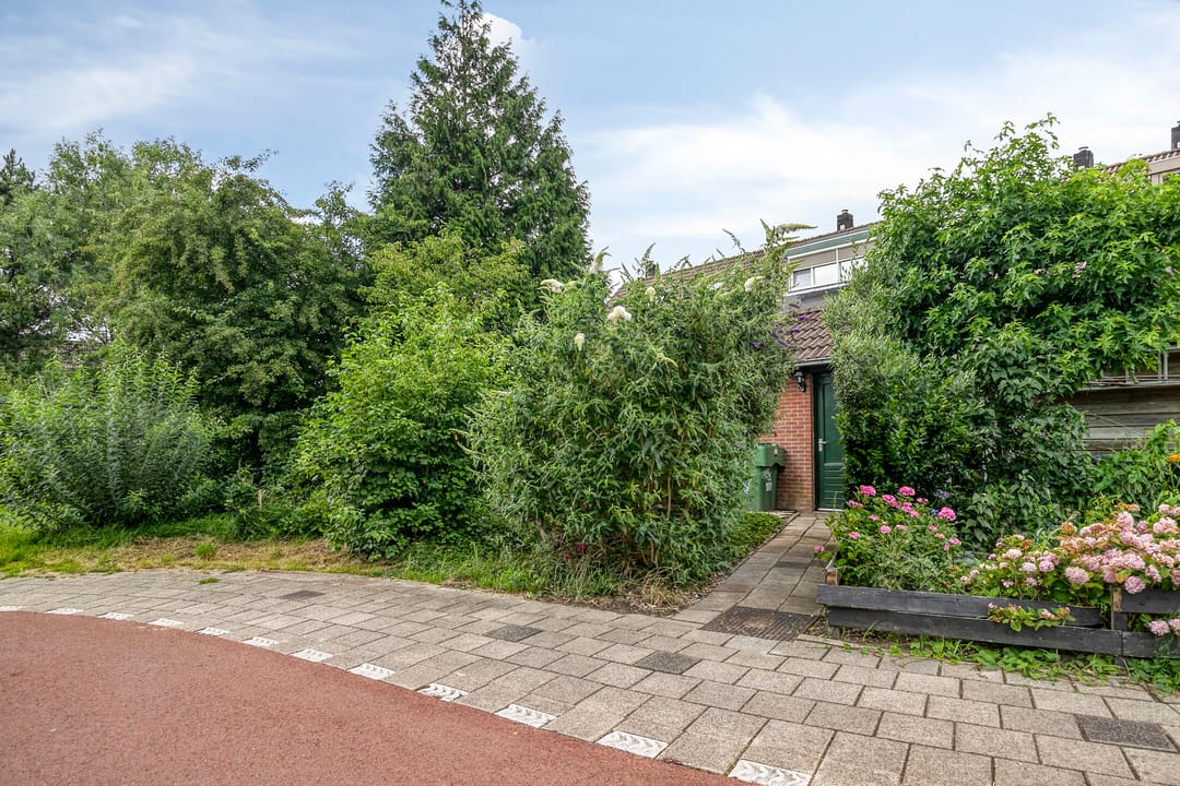 Photo 41 of Gouwe 24