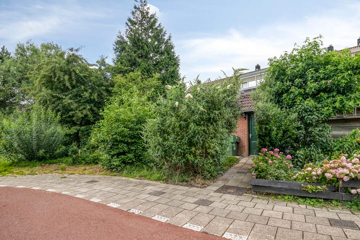 Foto 41 van Gouwe 24