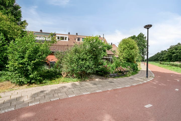 Foto 42 van Gouwe 24