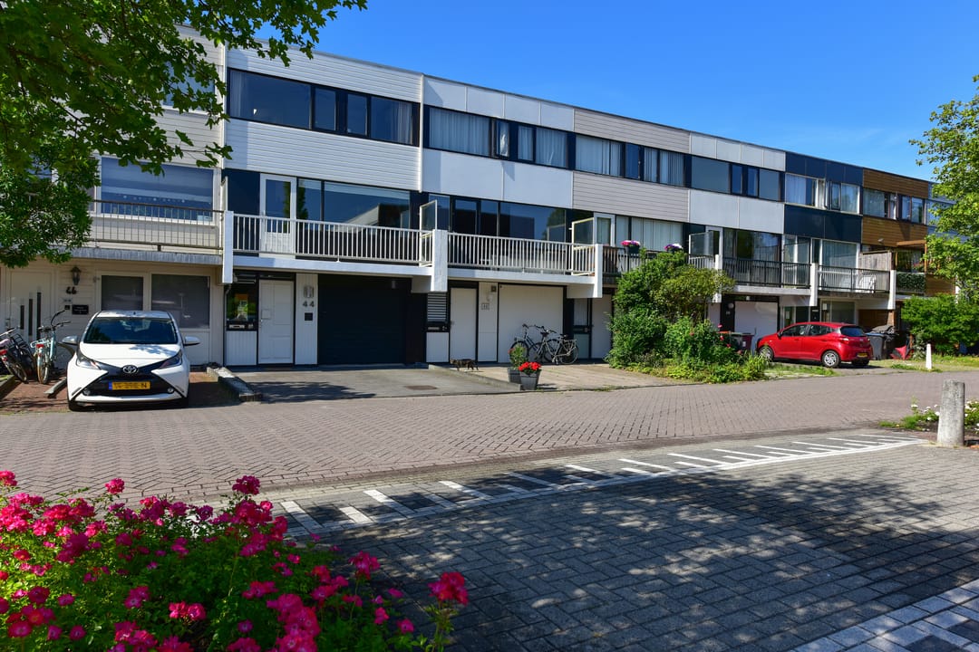 Foto 1 van Rode Klaver 44