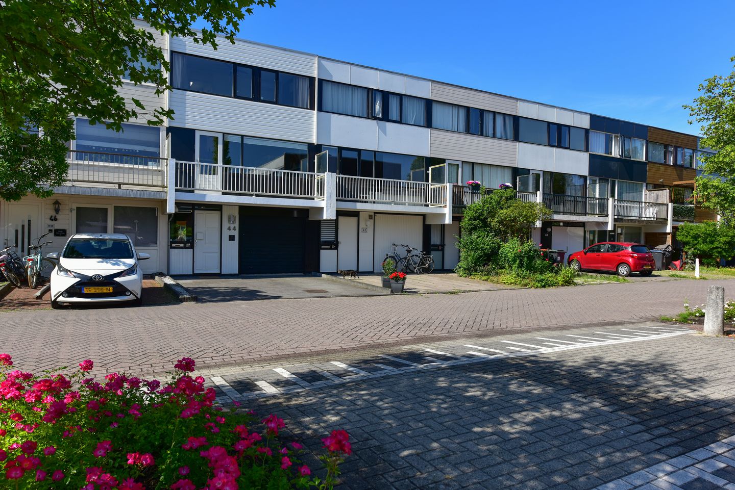 Rode Klaver 44 main image