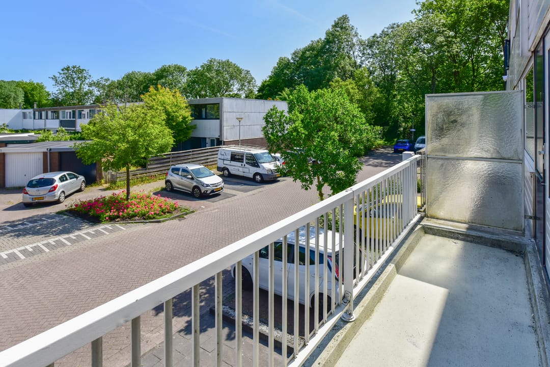 Foto 13 van Rode Klaver 44