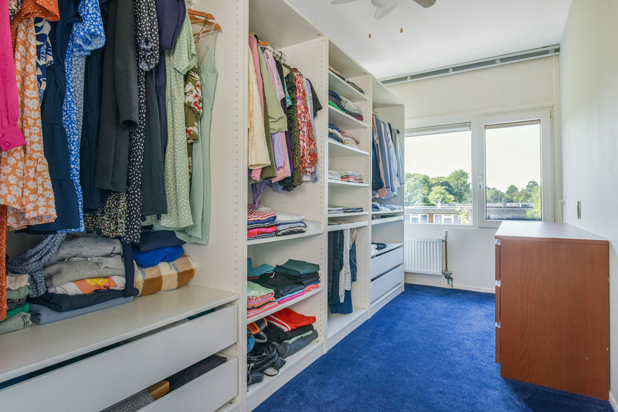 Foto 21 van Rode Klaver 44