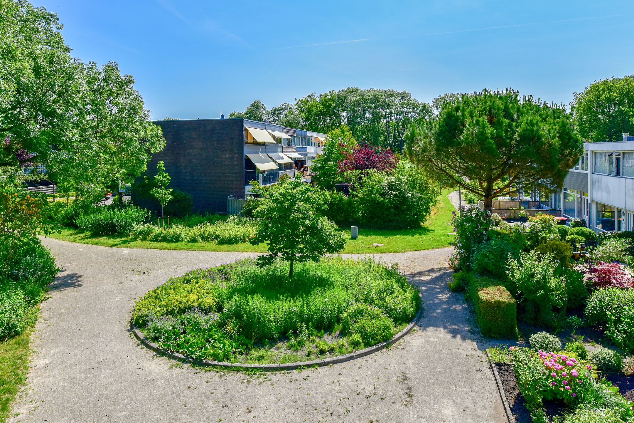 Foto 30 van Rode Klaver 44