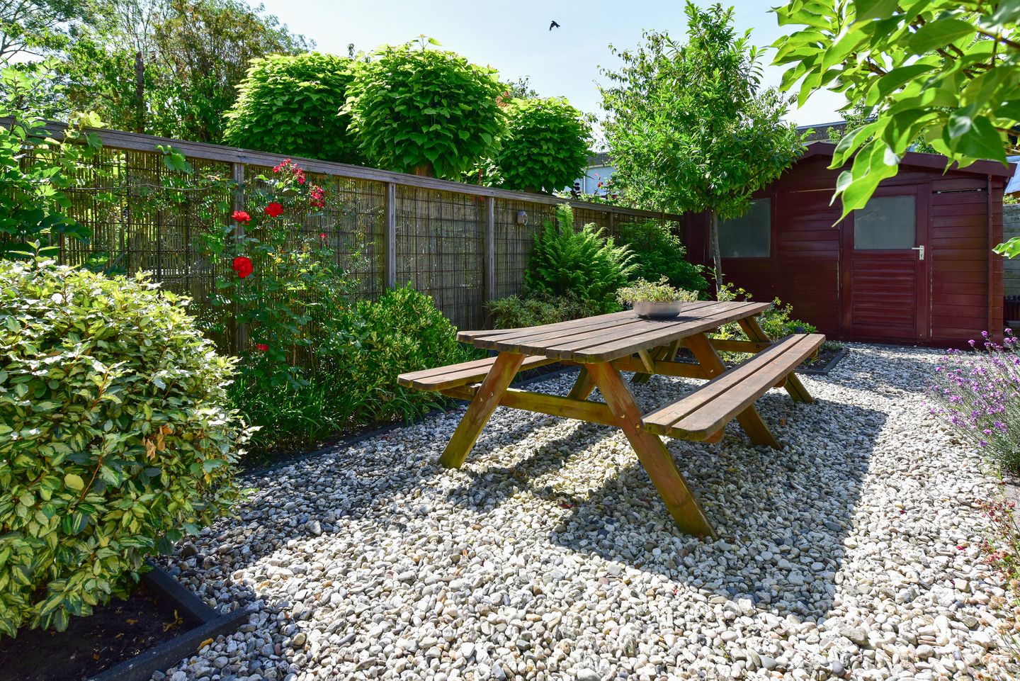 Foto 29 van Rode Klaver 44