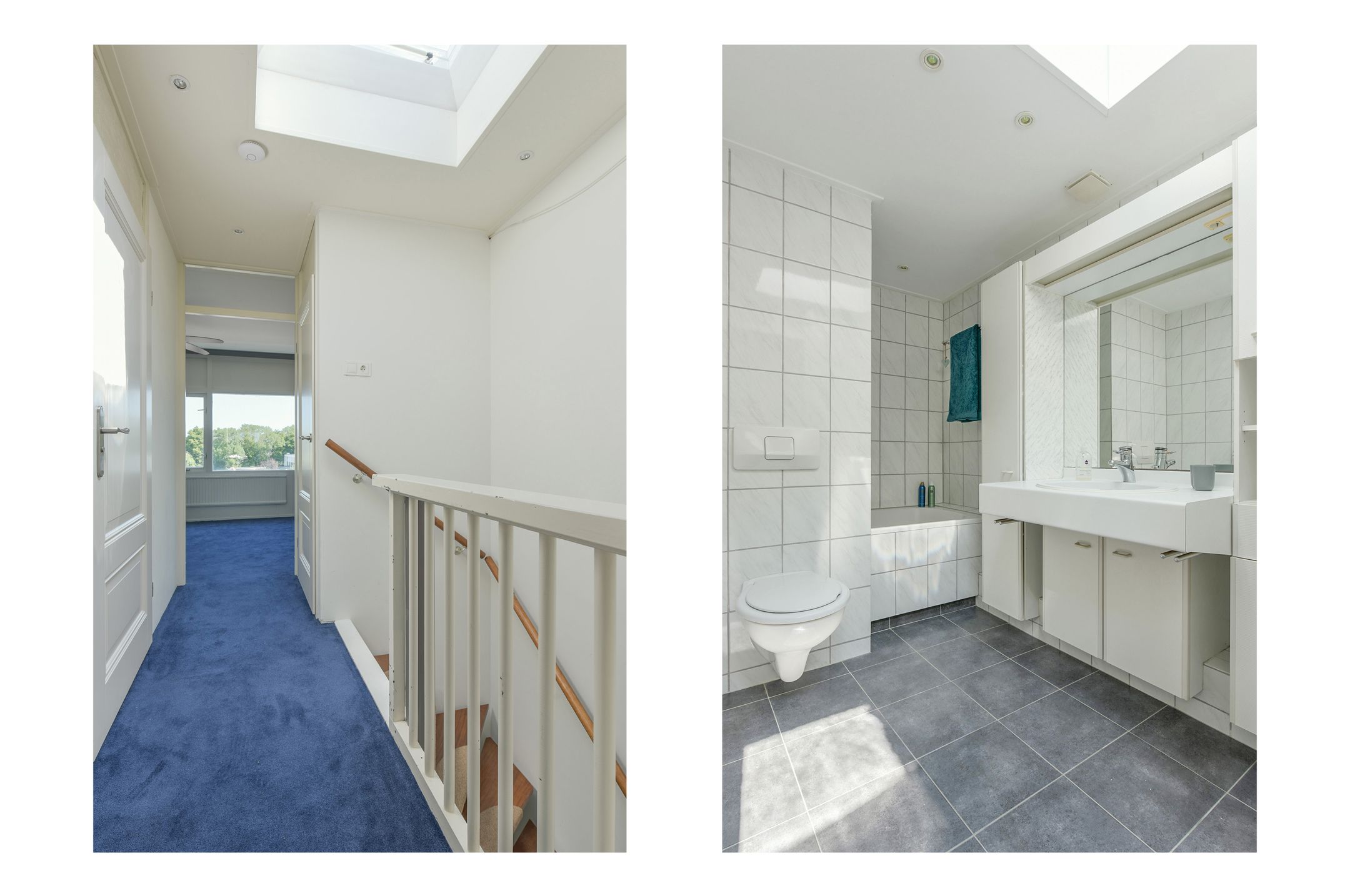 Foto 24 van Rode Klaver 44