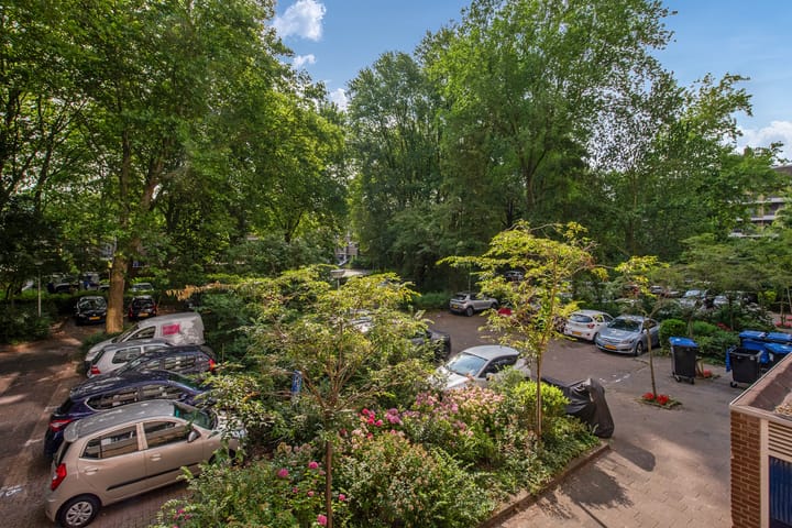 Foto 35 van Aart van der Leeuwlaan 18