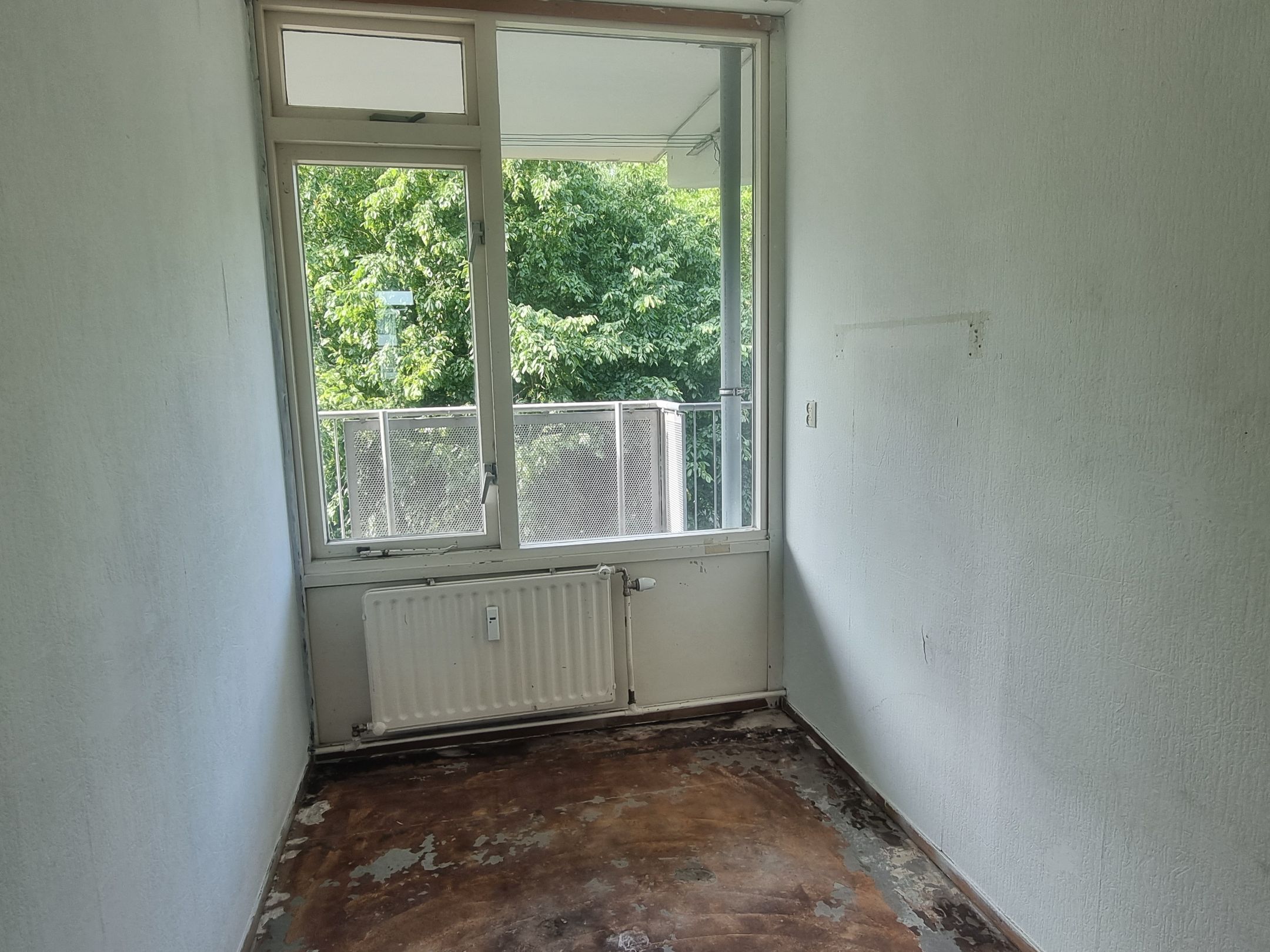 Foto 24 van Marsdiep 267