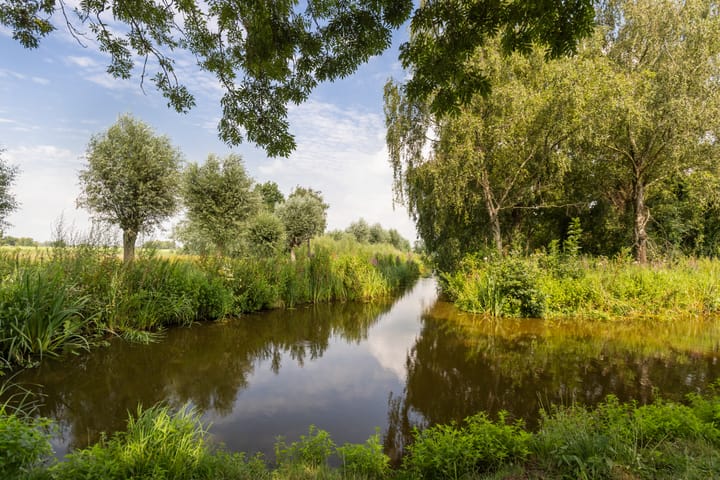 Photo 34 of Rietgors 44