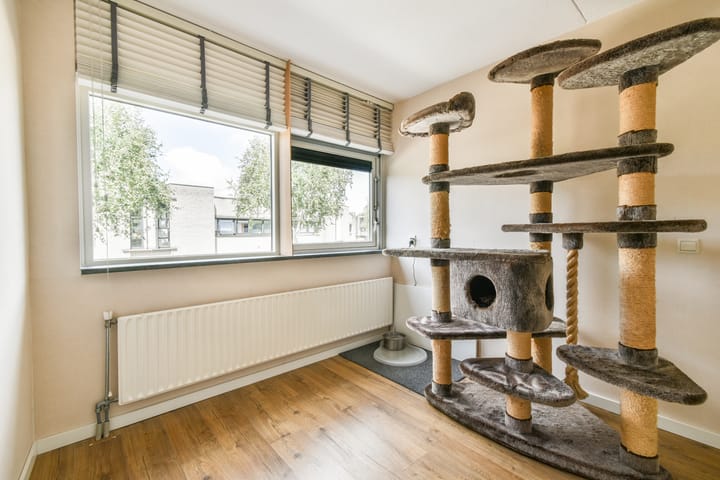 Foto 21 van Branco 9