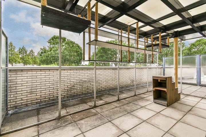 Foto 24 van Branco 9