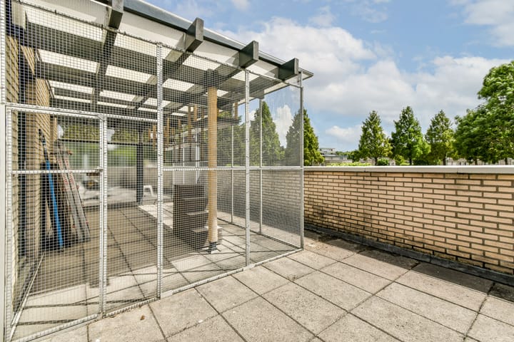 Foto 25 van Branco 9