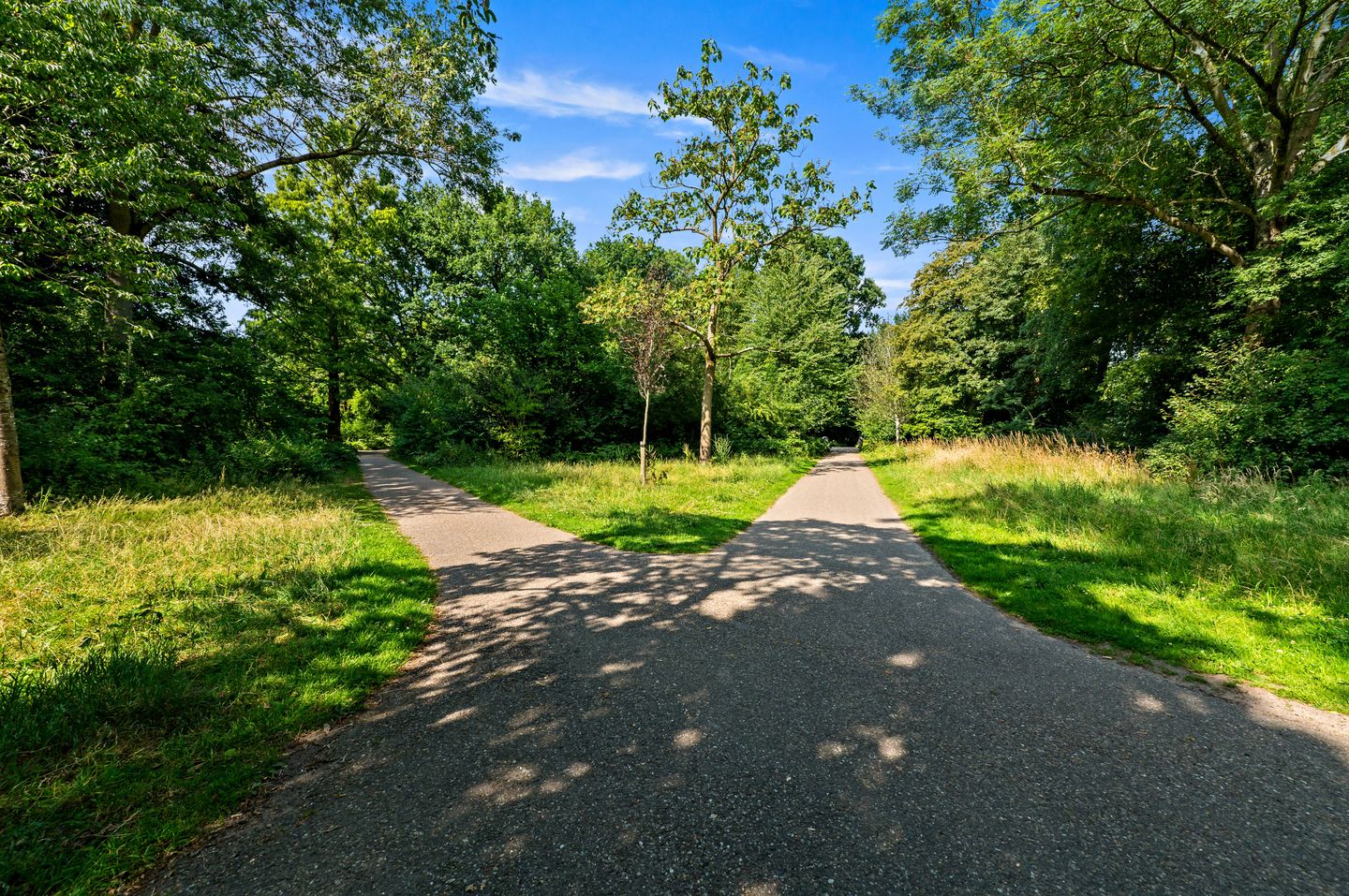 Foto 44 van Santhorst 103