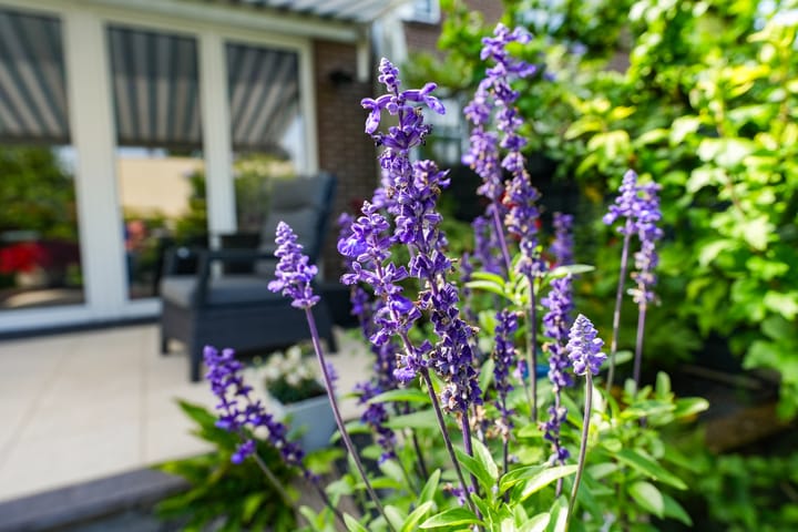 Foto 21 van Oude Graafseweg 172