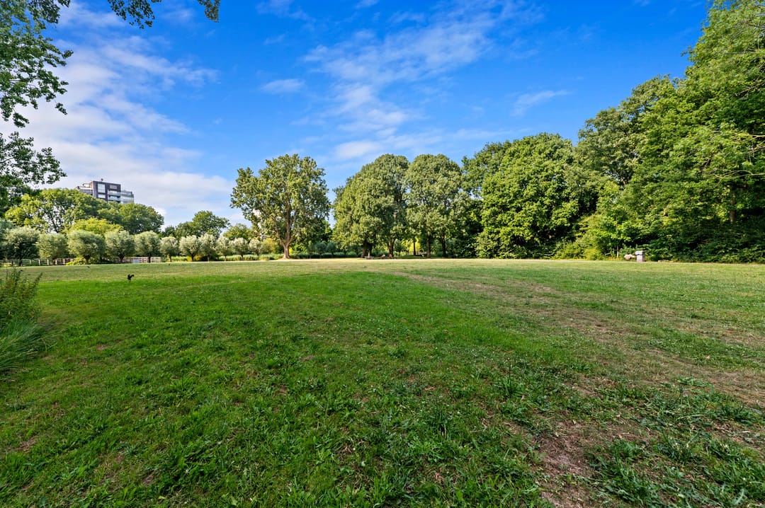 Foto 41 van Santhorst 153