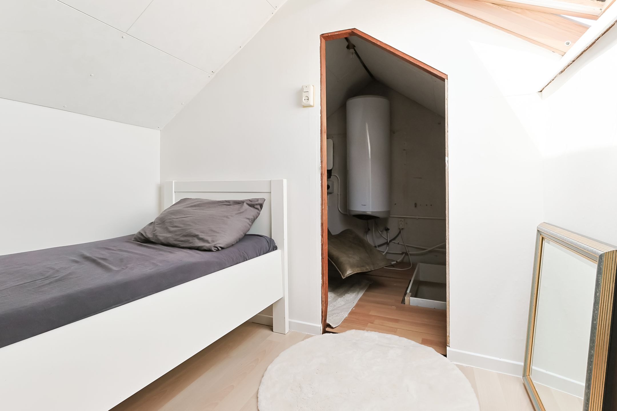 Foto 42 van Ruisdaelstraat 6