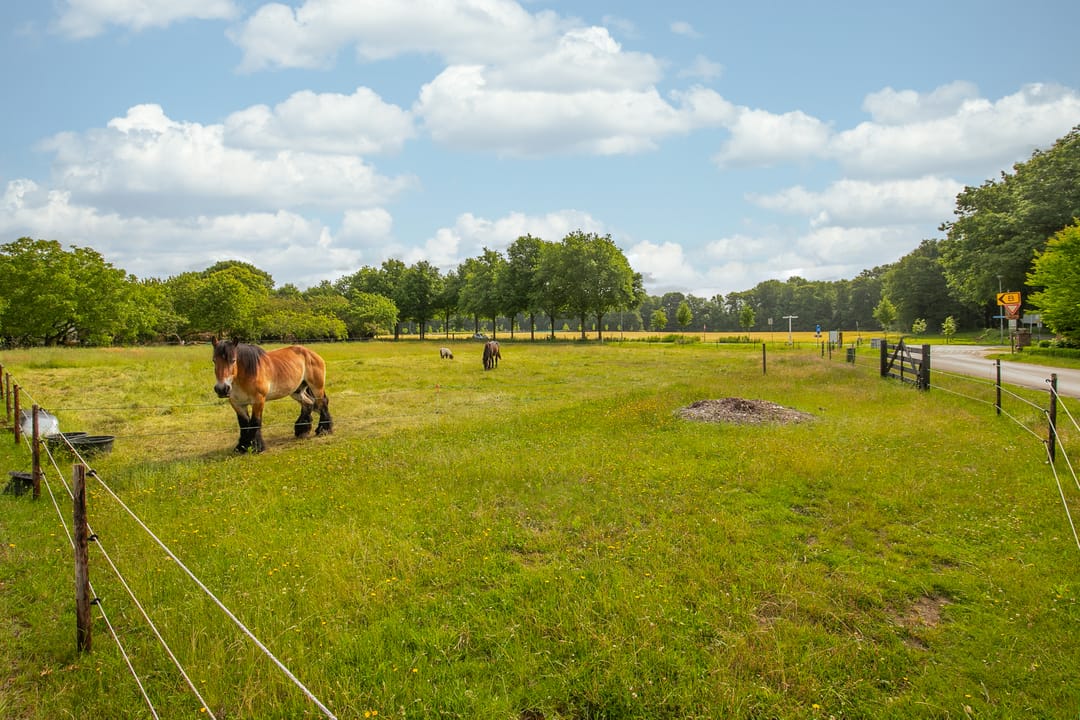 Foto 23 van Rijkel 4