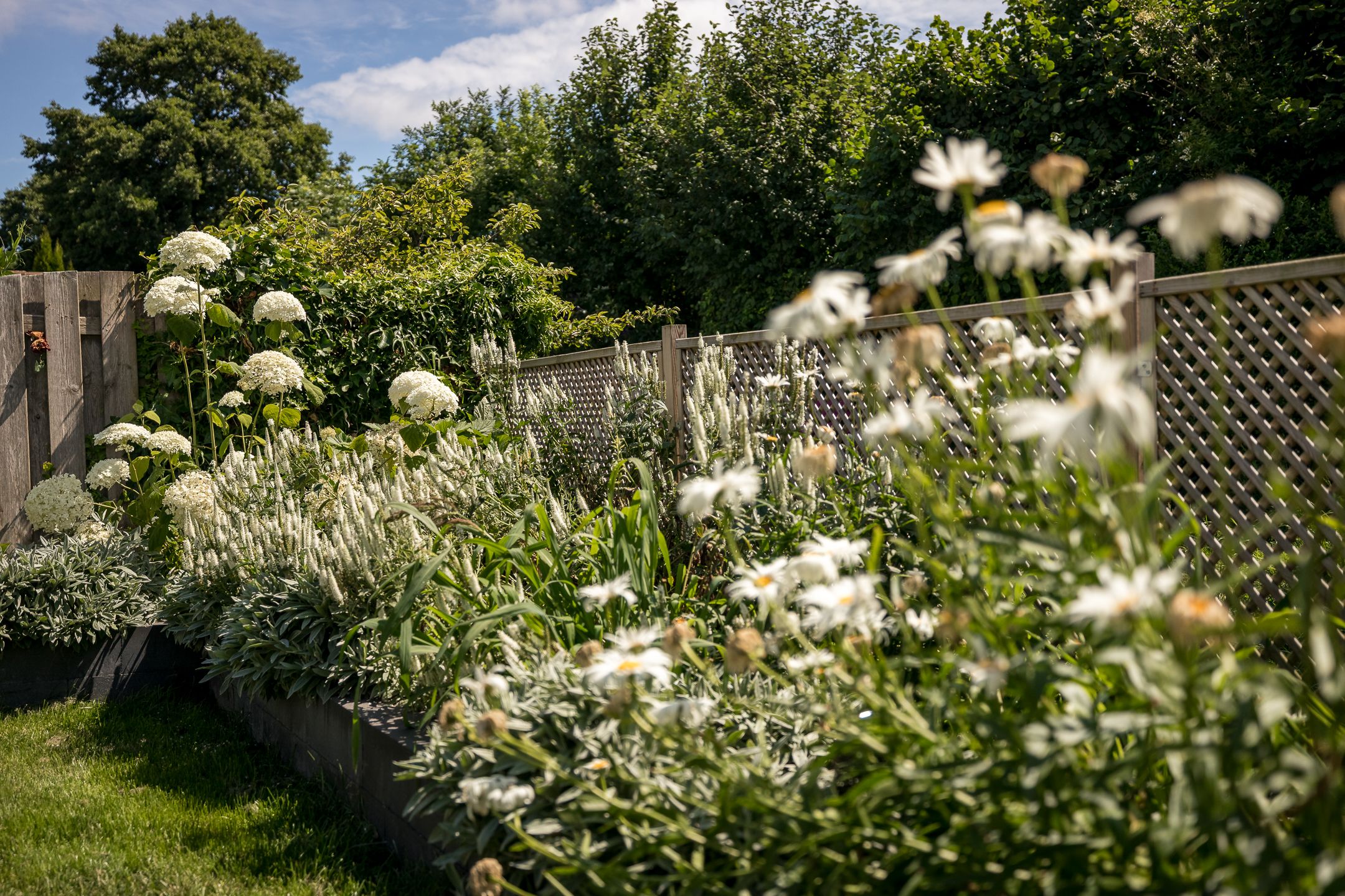 Foto 36 van Lelielaan 4