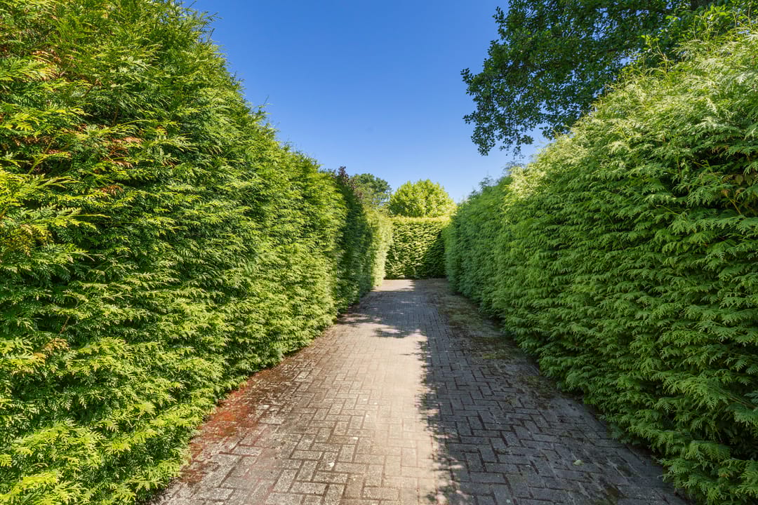 Photo 32 of Douwelaan 74