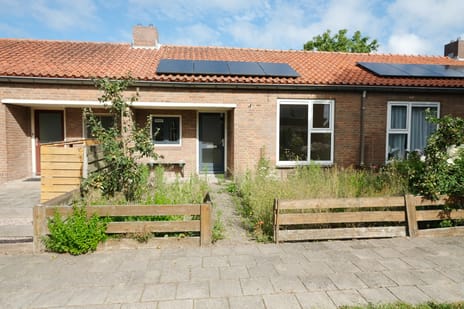 undefined main image