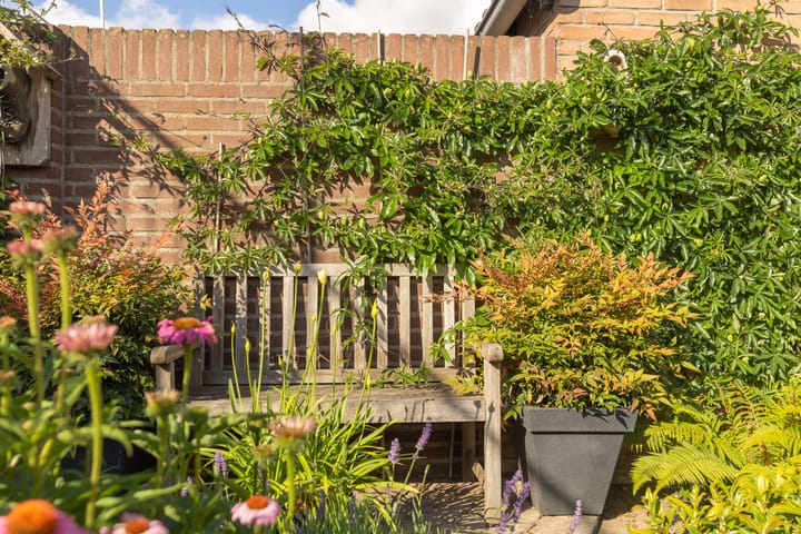 Photo 36 of Pastoor Bielarsstraat 8