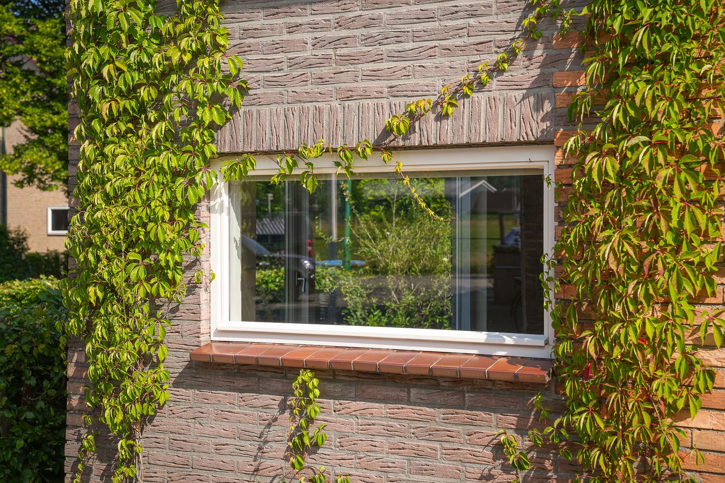 Foto 35 van Cuneraweg 94-A