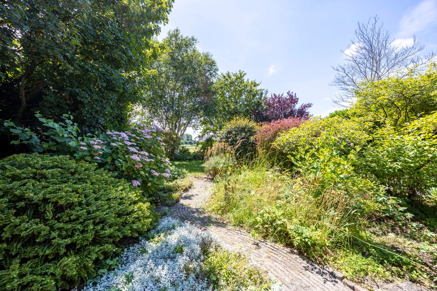 Photo 14 of Kennemerbeekweg 14