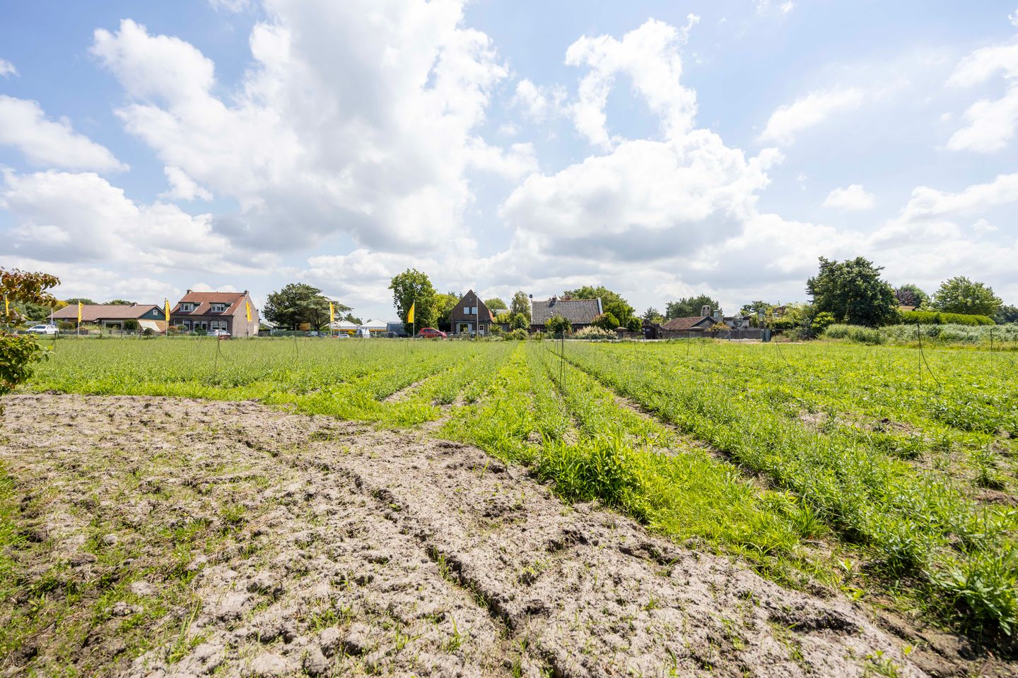 Photo 25 of Kennemerbeekweg 14