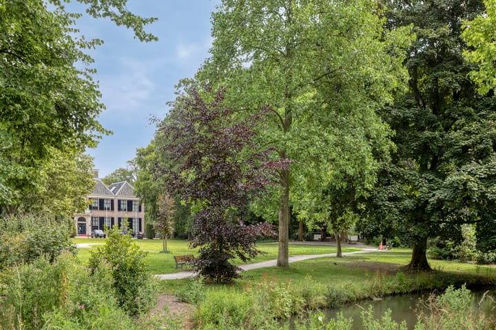 Foto 39 van Willink van Collenstraat 11