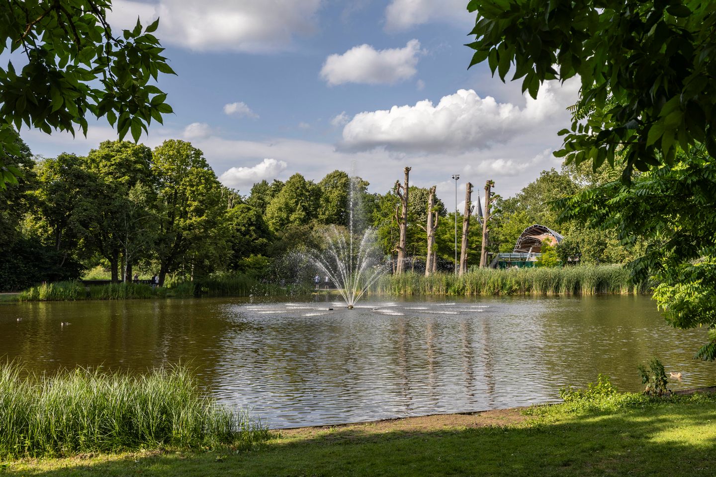 Foto 25 van Staringplein 8-H