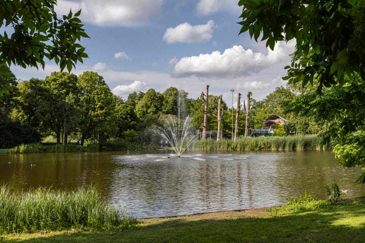 Foto 25 van Staringplein 8-H