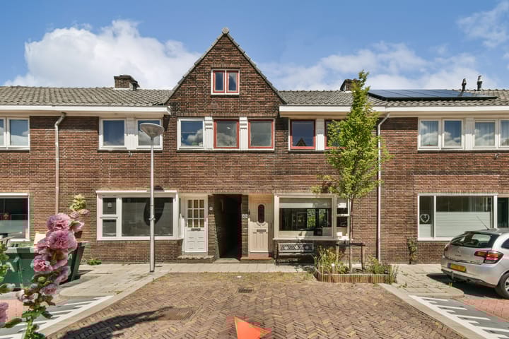 undefined main image