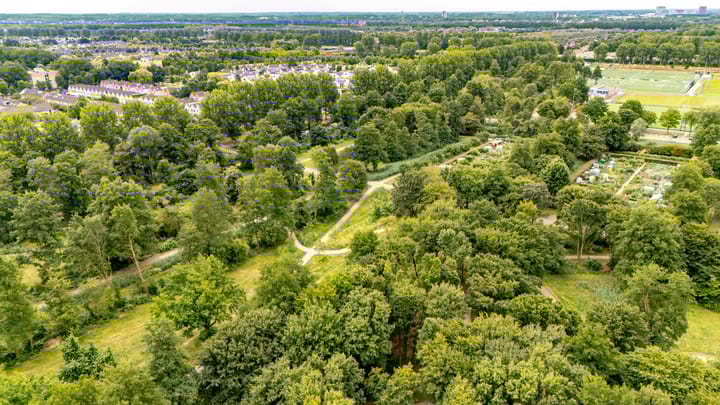 Photo 59 of Baroniestraat 21