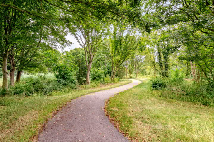 Photo 63 of Baroniestraat 21