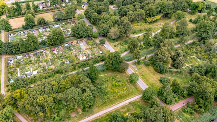 Photo 64 of Baroniestraat 21