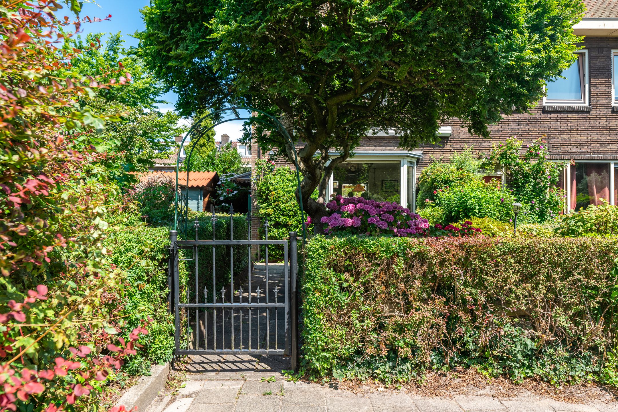 Photo 3 of Kometensingel 531