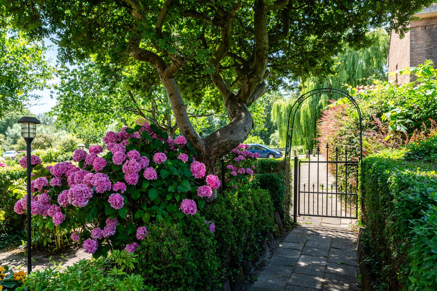 Photo 4 of Kometensingel 531